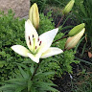 Meet your Posher, Angela